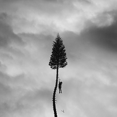 Manchester Orchestra/A Black Mile To The Surface@2 LP