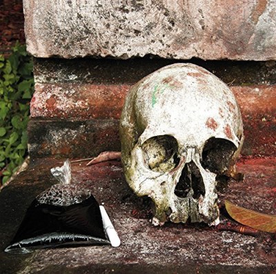 The Gamelan Of The Walking Warriors/Gamelan Beleganjur & The Music Of The Ngaben Funerary Ritual In Bali