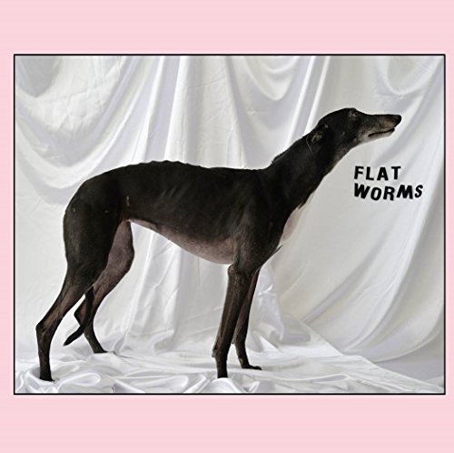 Flat Worms/Flat Worms