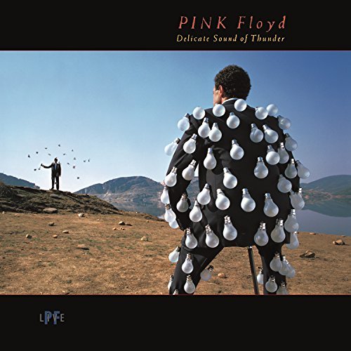 Pink Floyd/Delicate Sound Of Thunder (Live)@2LP, 180g Vinyl