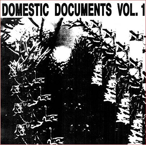 Domestic Documents/Vol. 1: Compiled by Butter Sessions & Noise In My Head@2LP