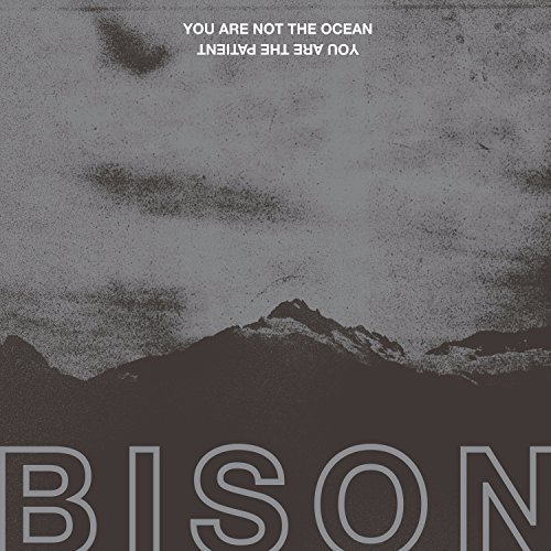 Bison/You Are Not The Ocean You Are (red vinyl)