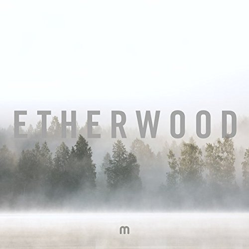 Etherwood/In Stillness