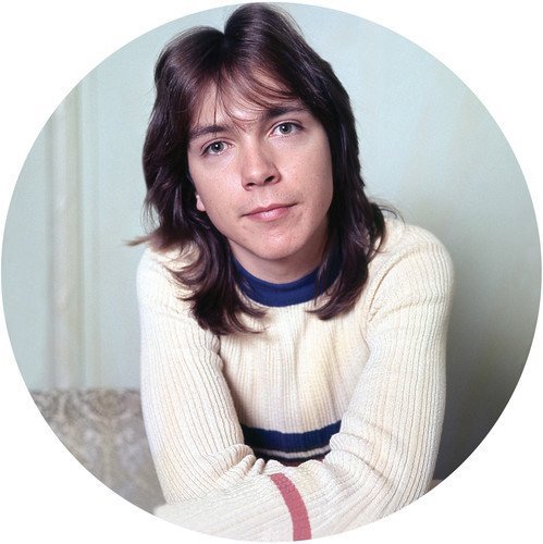 David Cassidy/I Think I Love You - Greatest (pic disc)