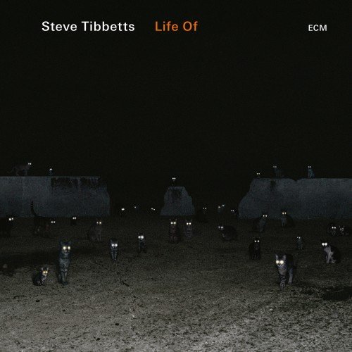 Steve Tibbetts/Life Of