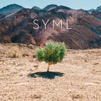 SYML/In My Body (RSC Exclusive Red Vinyl)