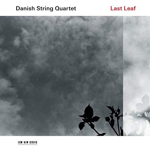 Danish String Quartet/Last Leaf
