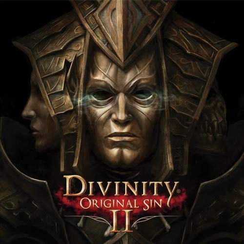 Divinity Original Sin 2/Soundtrack (black vinyl)@Borislav Slavov@2LP