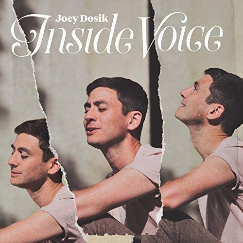 Joey Dosik/Inside Voice (Stone White Vinyl)