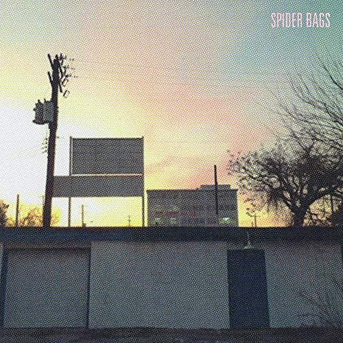 Spider Bags/Someday Everything Will Be Fine (Indie Only Peak Vinyl)@Peak Vinyl@.