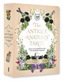 Claire Goodchild Antique Anatomy Tarot Kit A Deck And Guidebook For The Modern Reader 