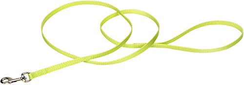 Coastal Single-Ply Dog Leash 3/8"-Lime