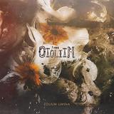 The Otolith Folium Limina Lp 