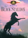 Black Stallion Reno Rooney Garr Muse Axton Hi Clr Cc St Ws Keeper G 