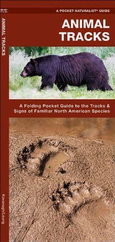James Kavanagh/Animal Tracks@A Folding Pocket Guide to the Tracks & Signs of F