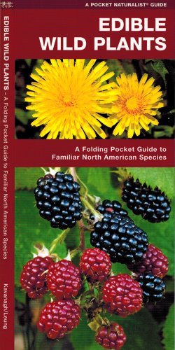 James Kavanagh/Edible Wild Plants@A Folding Pocket Guide to Familiar North American