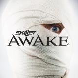 Skillet Awake 