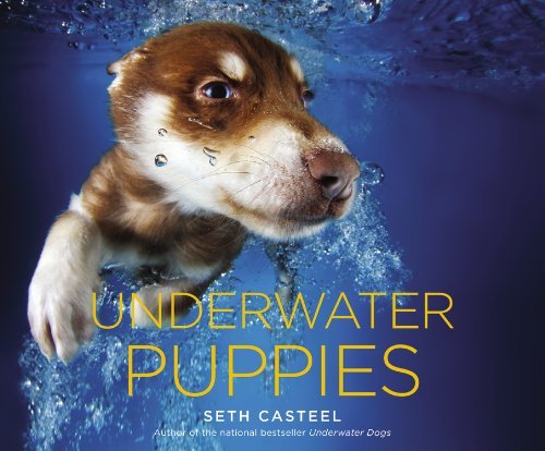 Seth Casteel/Underwater Puppies