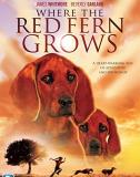 Where The Red Fern Grows Pt. 1 Where The Red Fern Grows Pt. 1 DVD Mod This Item Is Made On Demand Could Take 2 3 Weeks For Delivery 