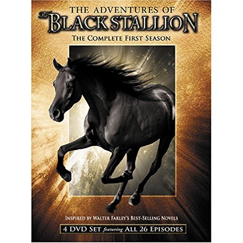 Adventures of The Black Stallion/Season 1@Nr/4 Dvd