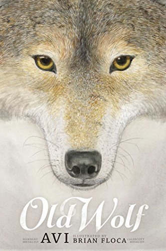 Avi/Old Wolf@ A Fable
