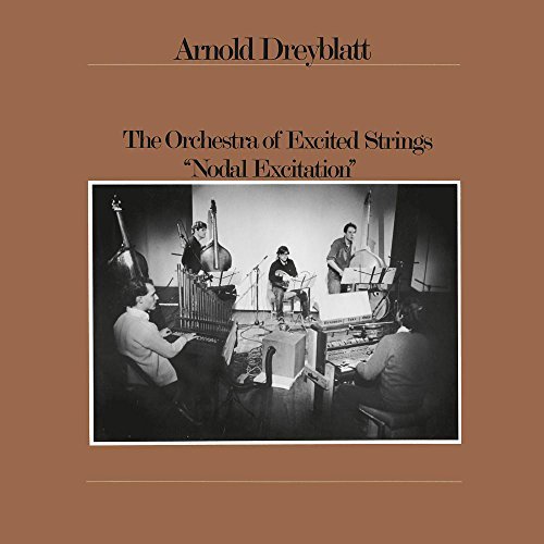 Arnold Dreyblatt/Nodal Excitation