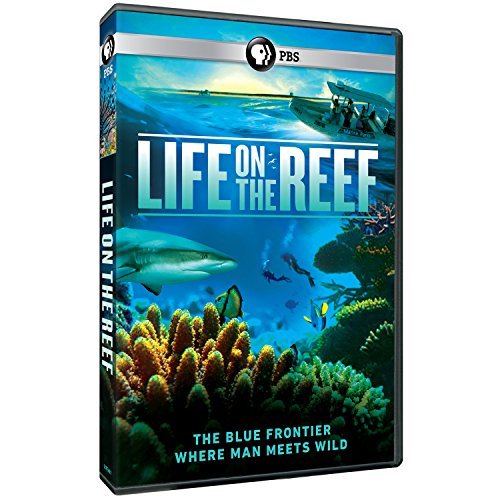 Life On The Reef/PBS@Dvd@Nr