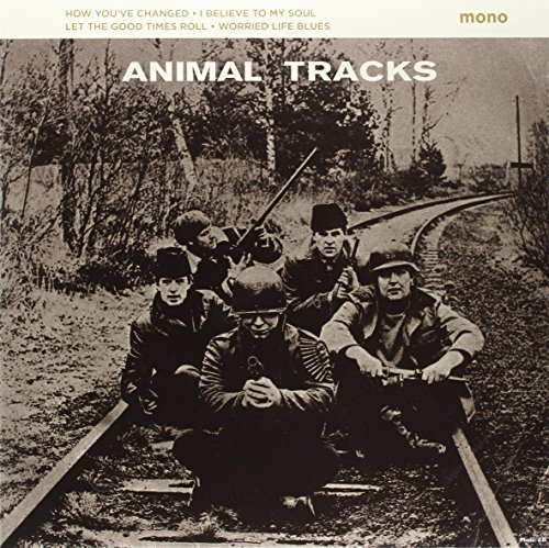 Animals/Animal Tracks