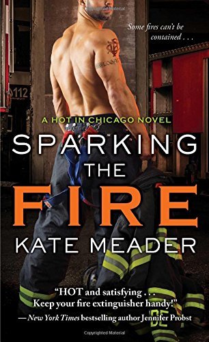 Kate Meader/Sparking the Fire