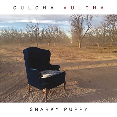 Snarky Puppy/Culcha Vulcha