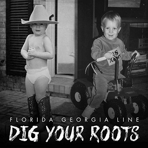 FLORIDA GEORGIA LINE/DIG YOUR ROOTS