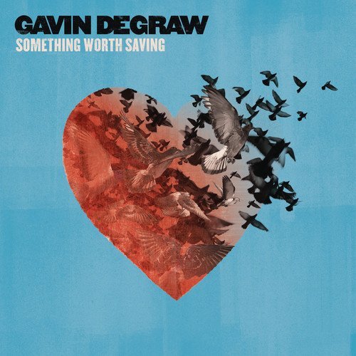Gavin Degraw/Something Worth Saving@Import-Eu