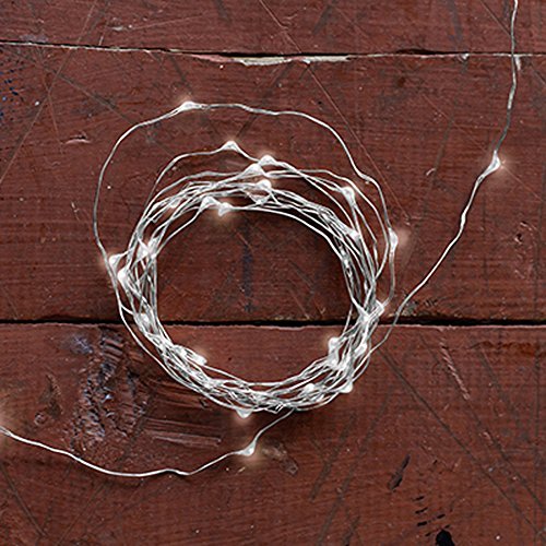 String Light/Silver