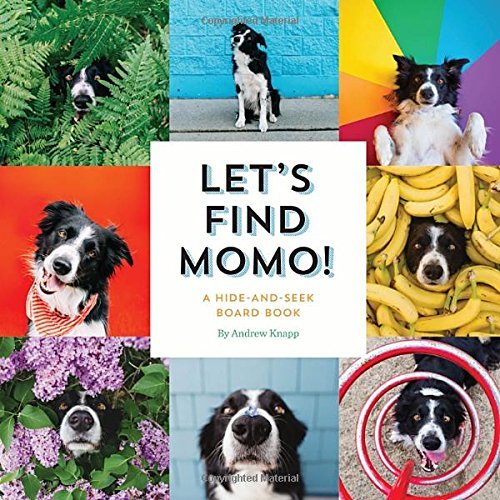 Andrew Knapp/Let's Find Momo!@ A Hide-And-Seek Board Book