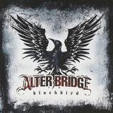 Alter Bridge Blackbird 