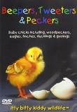 Beepers Tweeters & Peckers Beepers Tweeters & Peckers 