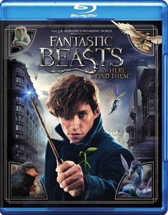 Fantastic Beasts & Where To Find Them/Redmayne/Waterson/Sudol@Blu-Ray@Pg13