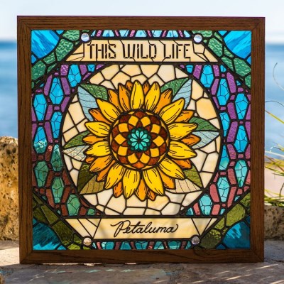 This Wild Life/Petaluma (yellow vinyl)@ltd to 600 copies@Indie Exclusive)