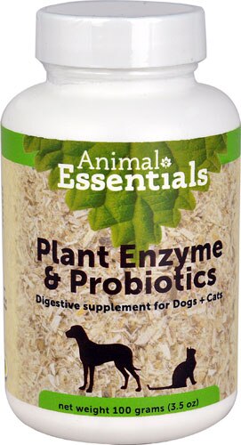 Plant Enzyme & Probiotics, 3.5 oz, Powder