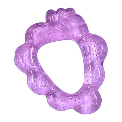 Green Sprouts Grape Teether-