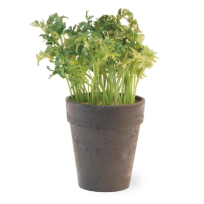 Faux Plastic Herbs in Paper Pot-