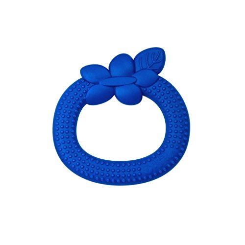 Green Sprouts Blueberry Silicone Teether-