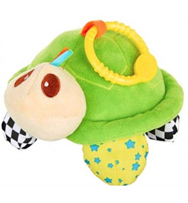 Playtex Turtle Toy-