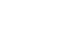 Renys Footer Logo