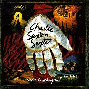 Charlie Sexton/Under The Wishing Tree