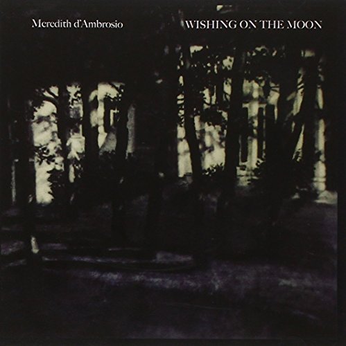 Meredith D'Ambrosio/Wishing On The Moon