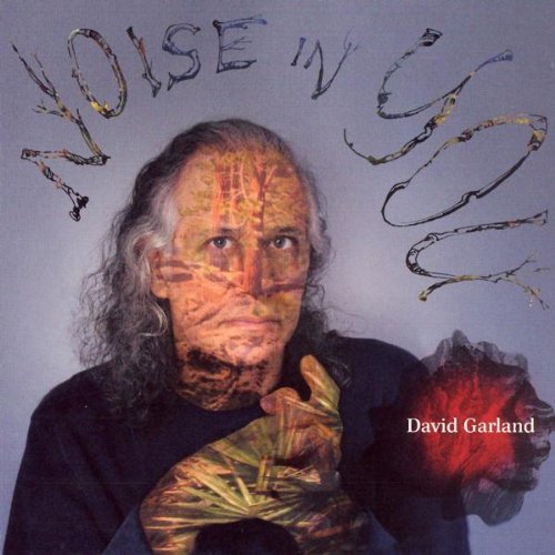 David Garland Noise In You 