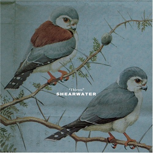 Shearwater/Thieves