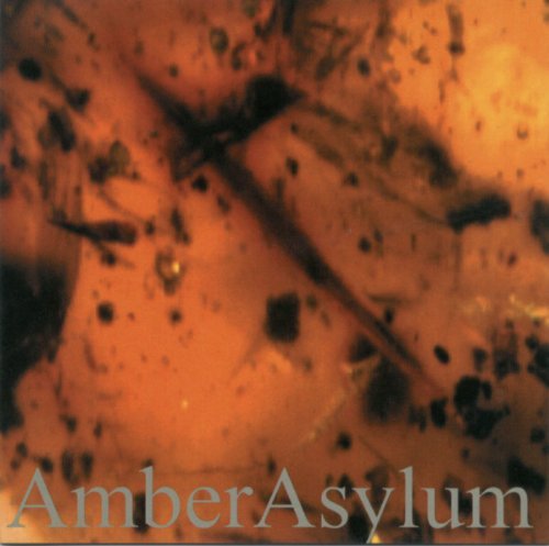 Amber Asylum Frozen In Amber 