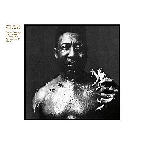 Muddy Waters After The Rain 